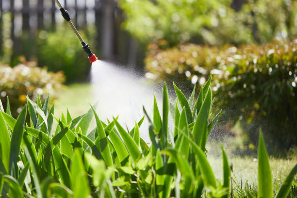 24/7 Emergency Mosquito Control experts in Orangeburg, NY